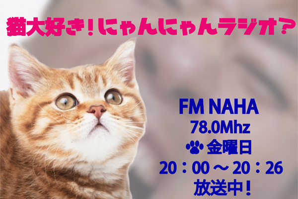 【新番組】猫大好きにゃんにゃんラジオ？